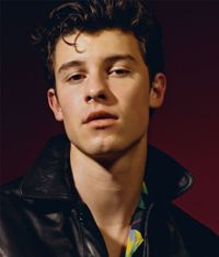 Singer Shawn Mendes Contact Details, Home Town, Phone Number, Email